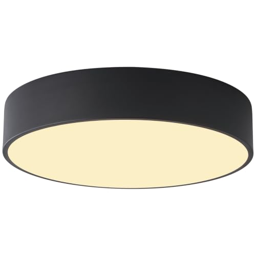 Modern LED Round Flush Mount Ceiling Light Fixture