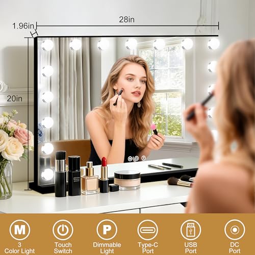 Vanity Mirror with Lights (Black / 28"L x 20"W)