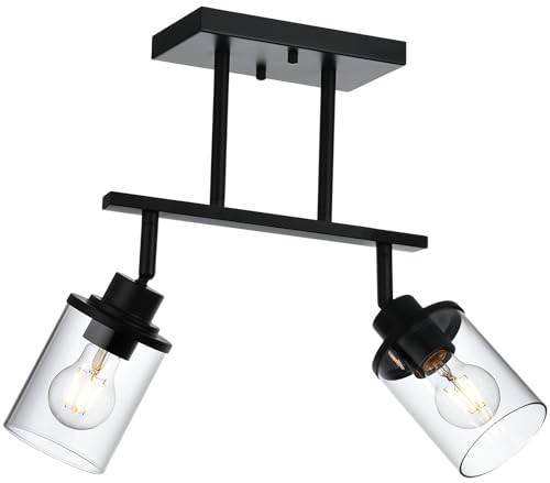 2 Light Kitchen Track Light Fixtures Ceiling Vanity Lights Black (Black / 2 Light)