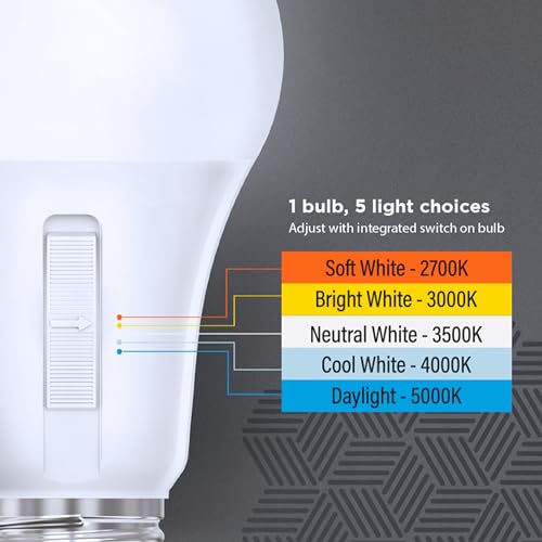 A19 LED Light Bulb
