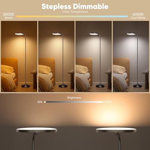 36W LED Floor Lamp (Black)