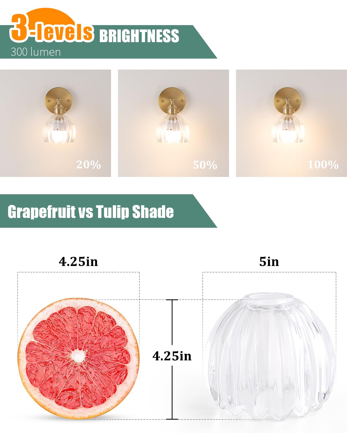 Tulip Lamp Shades Replacement (Clear)