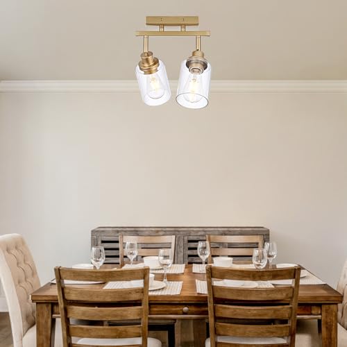 2 Light Track Lighting Fixtures Gold Finish (Gold / 2-Light)
