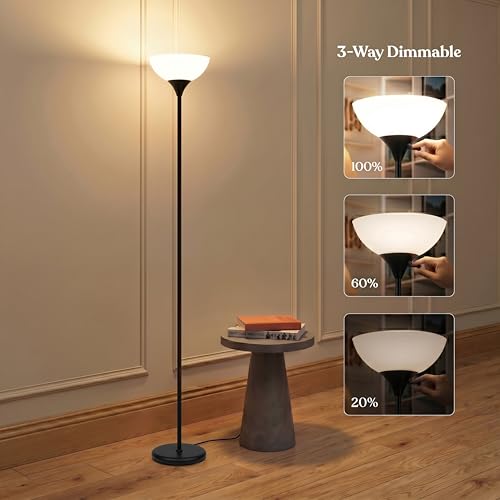 Sky Dome Dimmable LED Floor Lamp (Jet Black)