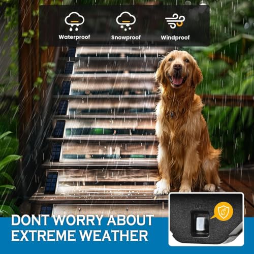 Solar Step Lights for Outside (Cool White / 20)