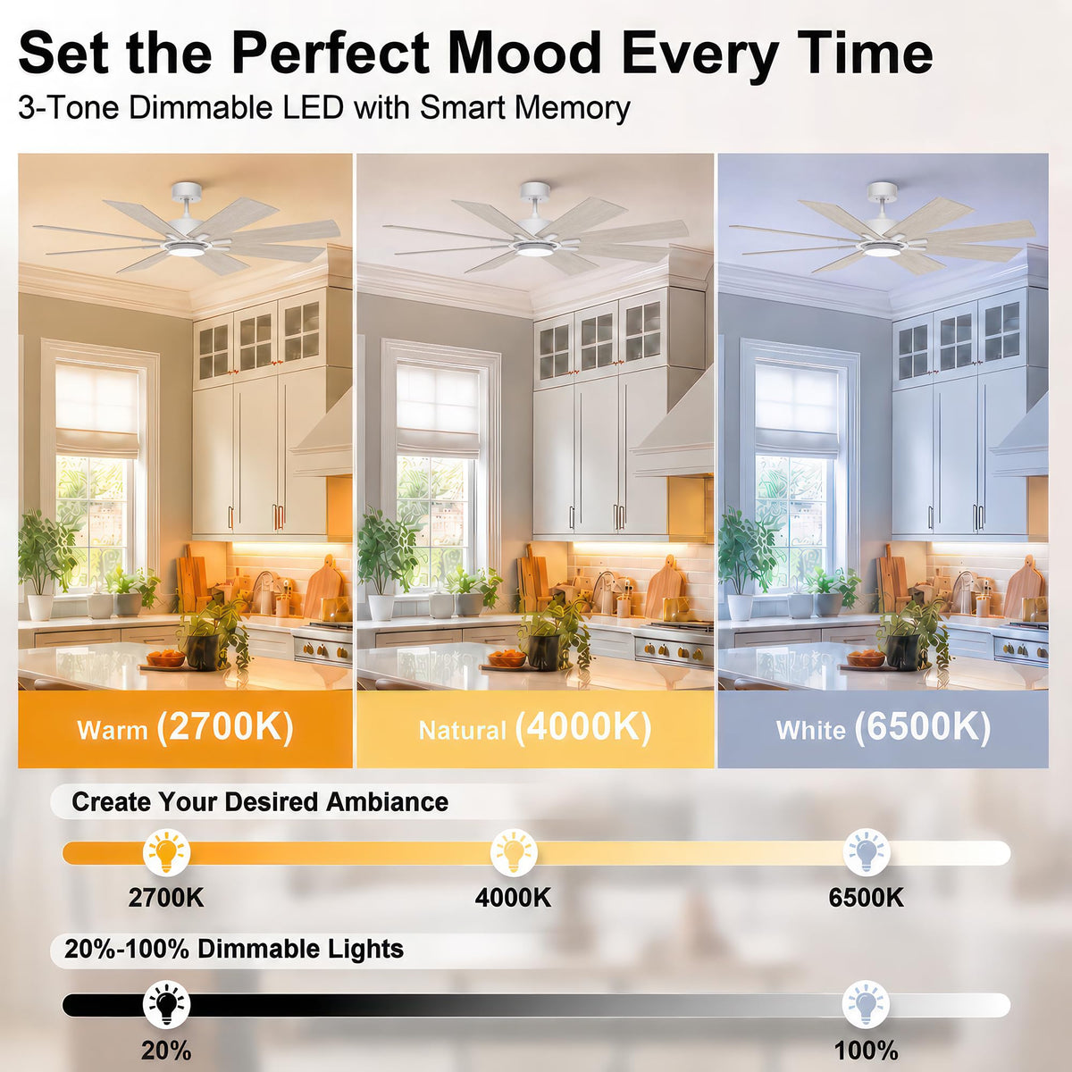 72 Inch Large Ceiling Fan with Lights (White / 72 Inch)