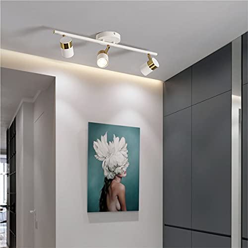White 3 Lights Track Lighting Fixtures (White)