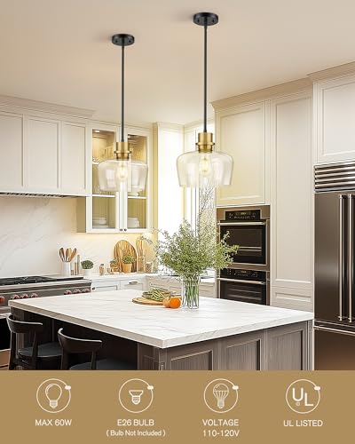 10 Inch Large Glass Pendant Lights Kitchen Island (Black Gold & Clear Glass / 10 Inch)