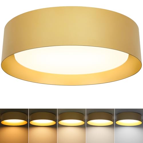 Flush Mount Ceiling Light
