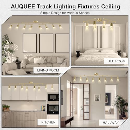 8 Light Track Lighting Fixtures Ceiling (8 light-gold)