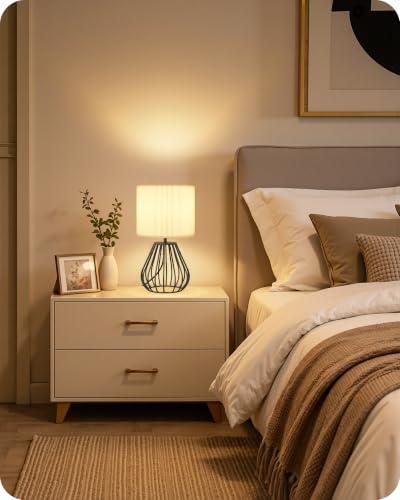 Black and White Table Lamp (White Pleated + Black)