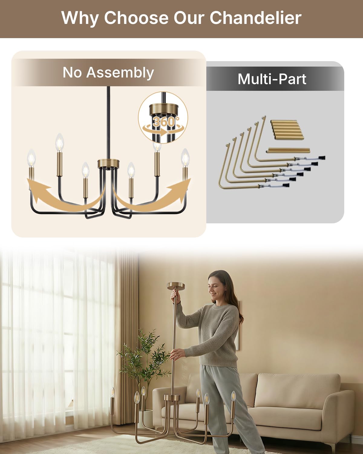 6 Light Black and Champagne Bronze Chandelier (Black and Champagne Bronze / 6-Light)