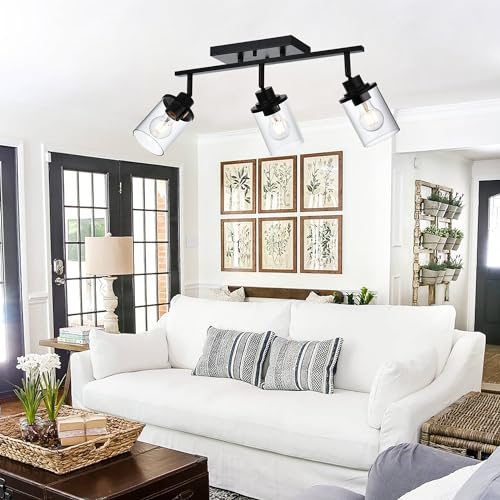 Track Lighting Fixtures 3 Light Ceiling Lights with Adjustable Track Heads (Black / 3-Light)