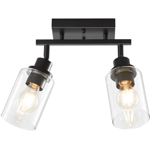 2 Light Kitchen Track Light Fixtures Ceiling Vanity Lights Black (Black / 2-Light)