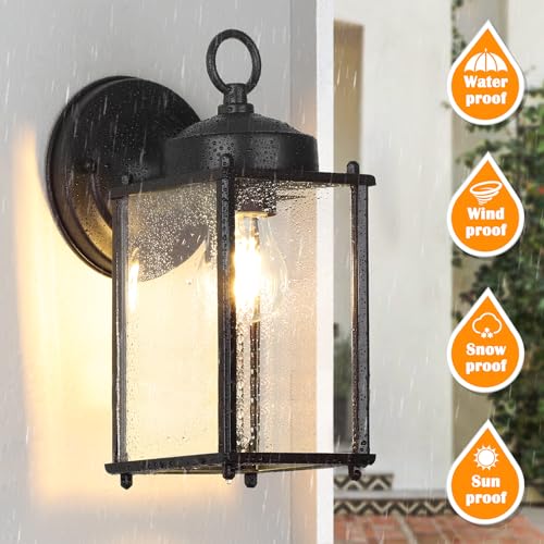 Outdoor Wall Lantern (Black / 10.24 inch)