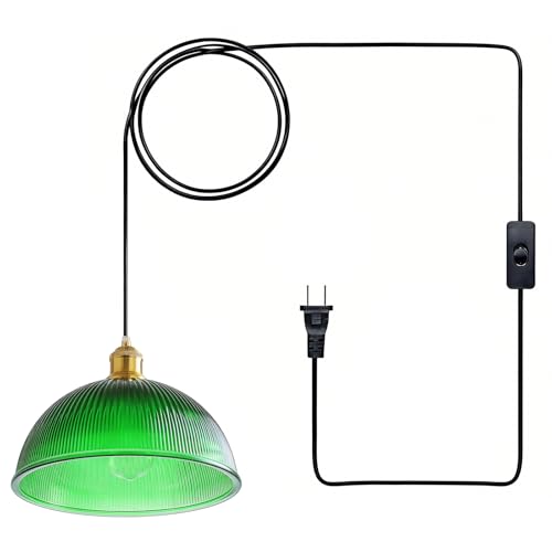 Plug in Pendant Light