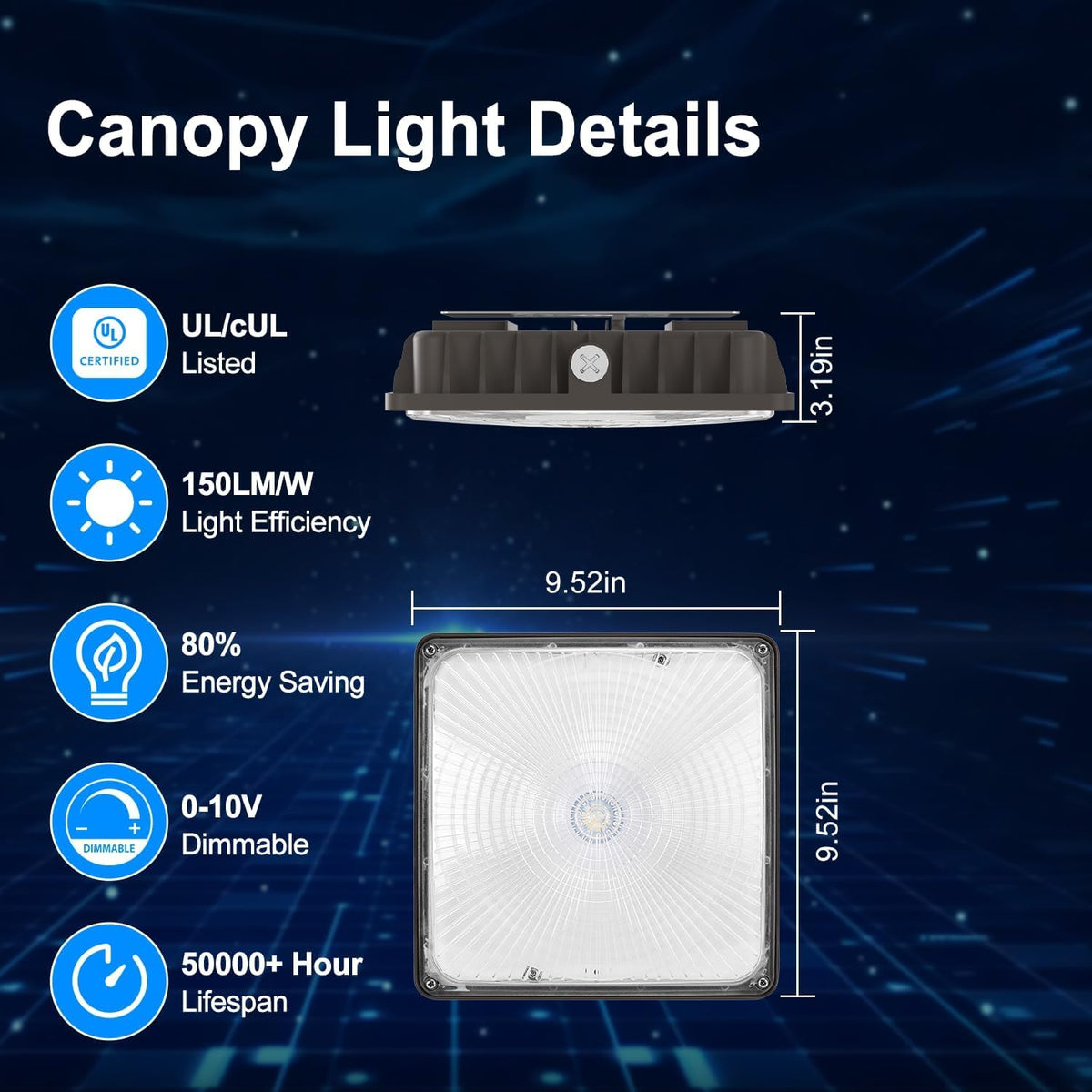 LED Canopy Light 60W (60W)
