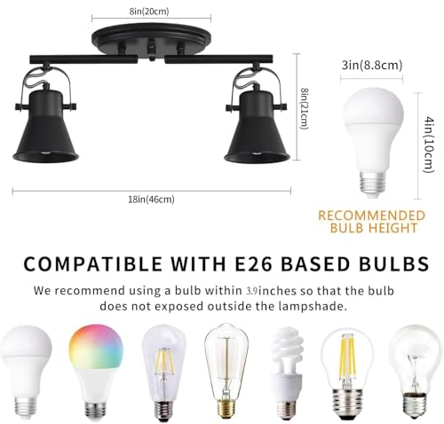 2 Light Track Lighting Kit (2-Light / Black)