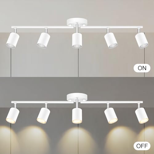 Track Lighting (White / 30" 5 Light Track Light)