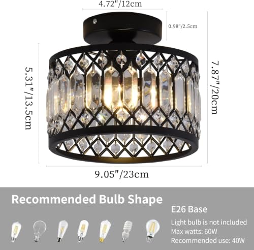 Crystal Black Ceiling Light