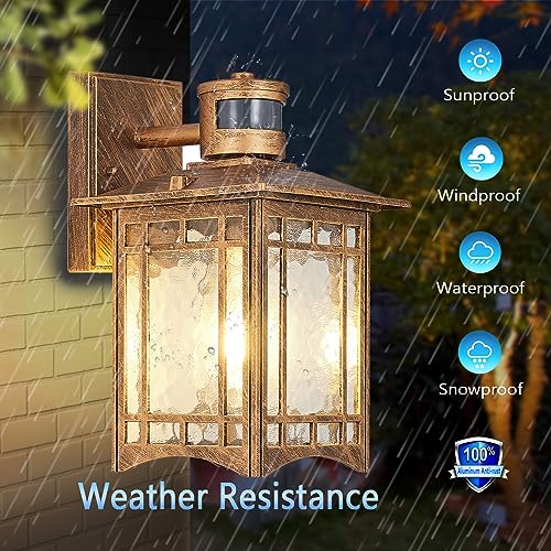 2 Pack Brown Motion Sensor Outdoor Lights Wall Mount (Brown)