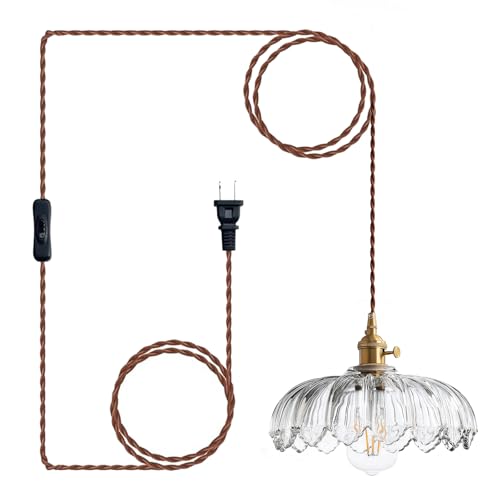 Plug in Pendant Light