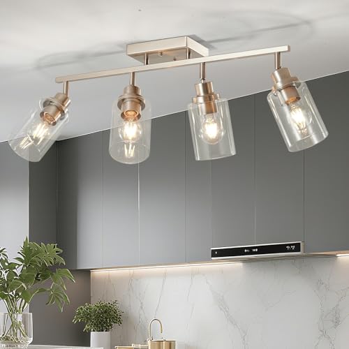 4 Light Brushed Nickel Track Lighting Kit with Clear Glass (Brushed Nickel / 4-Light)