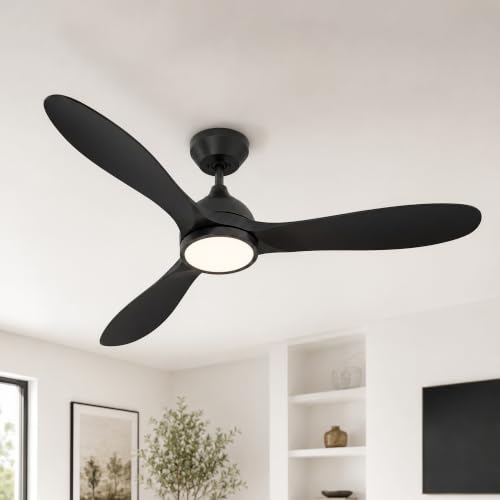 Ceiling Fan with Light