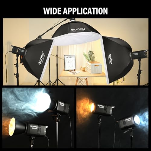 2Pack GODOX Litemons LE200Bi Kit (BLACK)