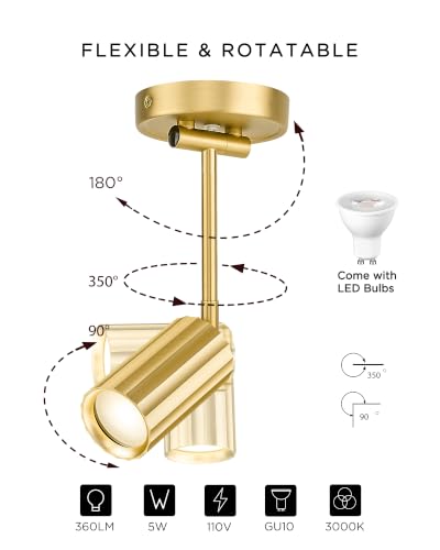 LED Track Lighting Fixtures (Sunflower, Brushed Gold / 31.8", 1-light)