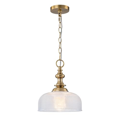 EDSILIVE Glass Pendant Light