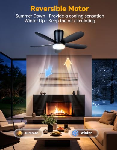 Low Profile Ceiling Fan with Light (Black)