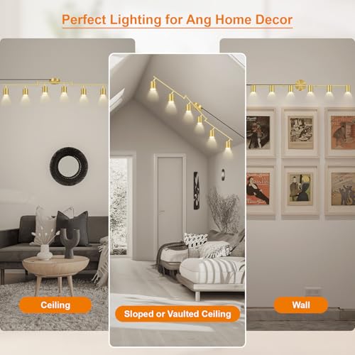 Plug in Track Lighting LED (6-Light Track Light(Gold))