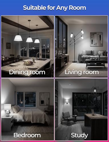 Color Changing LED Light Bulb (4 Count (Pack of 1))