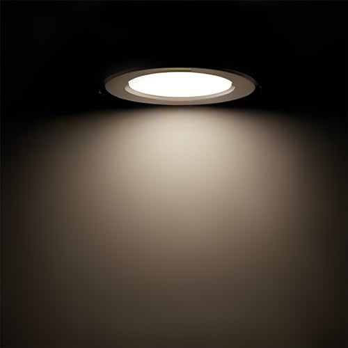 12 Pack BR30 Flood Light Bulb Indoor