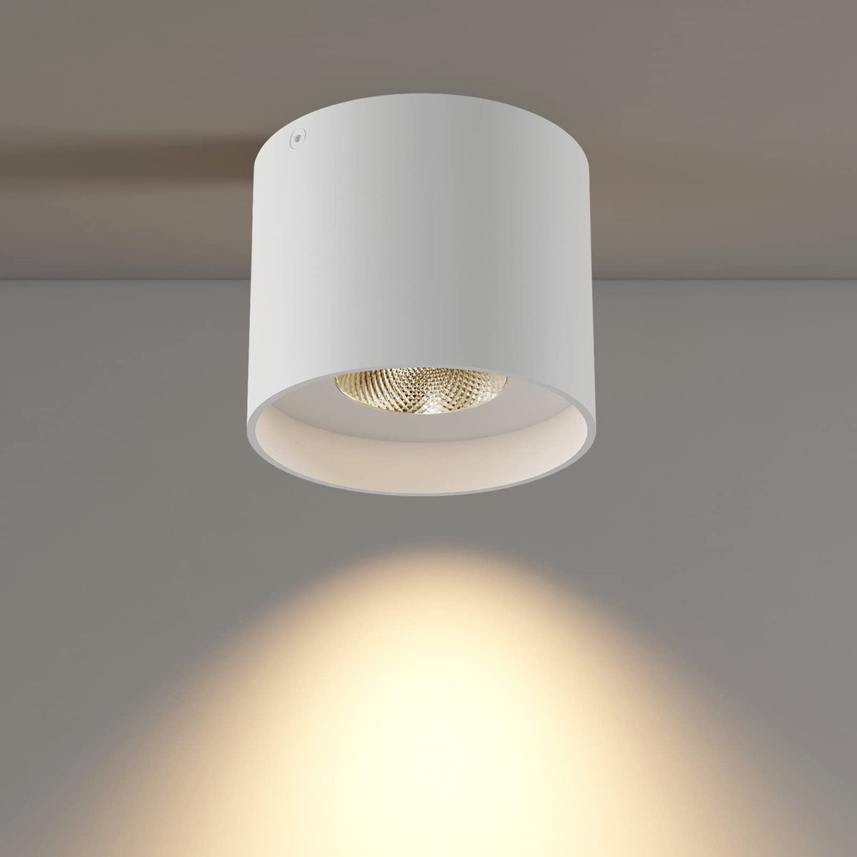 Ceiling Light Fixture (Cylinder 4.7"W / White 1pack)