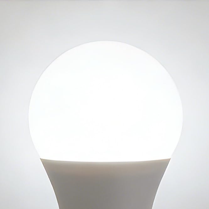 100W A19 LED Light Bulb