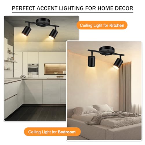 Black Track Lighting Ceiling (Black / 11.8" 2 Light Track Light)