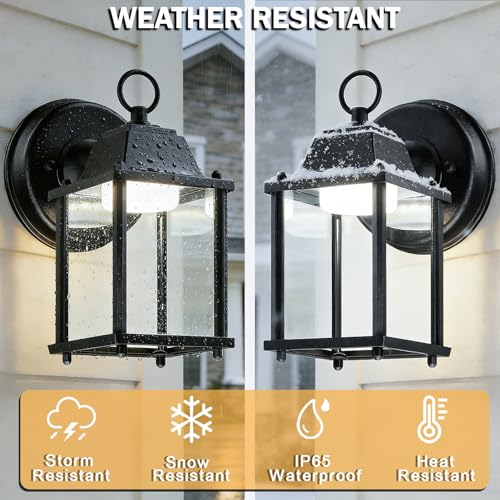 Outdoor Wall Light Fixture (5000K Black / 1-pack)