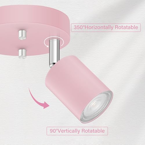 LED 2 Light Track Lighting Kit (2 Light-Pink)