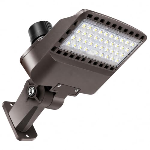 LED Parking Lot Light 100W (Small/150/Dimmable/Wall Mount)