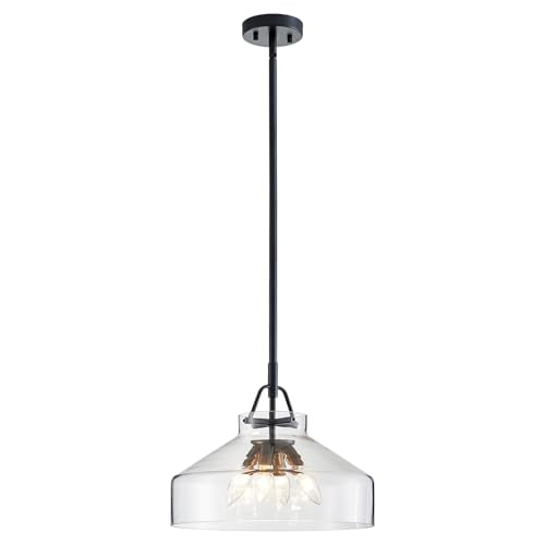 Pendant Chandelier Light with Glass Shade