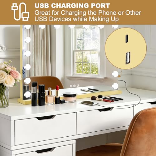 Vanity Mirror with Lights (Gold / 28"L x 20"W)