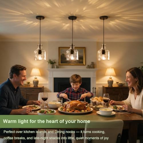 Black Hammered Clear Glass Pendant Light (Black-1Pack)
