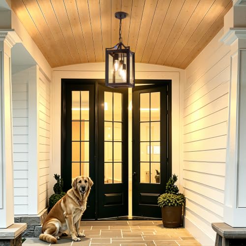 Outdoor Pendant Lights for Porch (Oil-Rubbed Bronze / Large-Clear Glass)