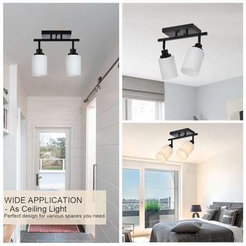 Wall Sconce Track Lighting Kit (Black / 2-Lights)