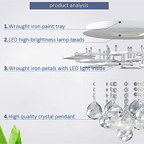 Modern Ceiling Light (06 HEAD)