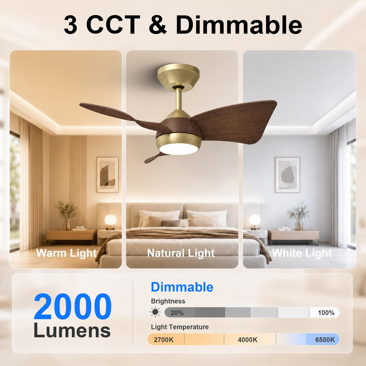 30 Inch Small Ceiling Fan with Lights (Brushed Brass & Walnut / 30 Inch)