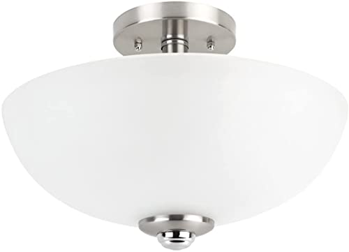 Light Flush Mount Ceiling Light