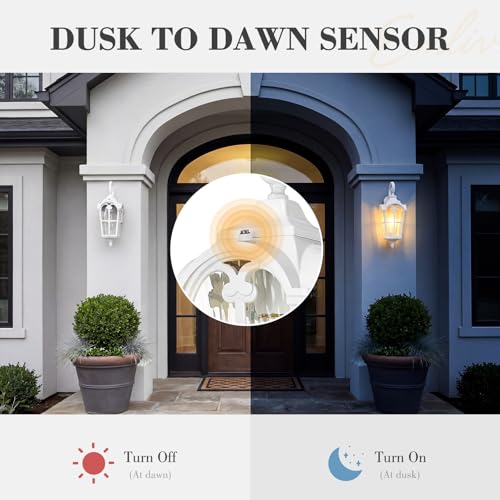 1 Light Dusk to Dawn Wall Lantern (White - Water Ripple Glass / 17.5 Inch - Dusk to Dawn)